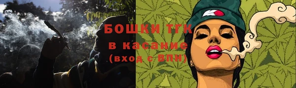 прущий лед Богородицк