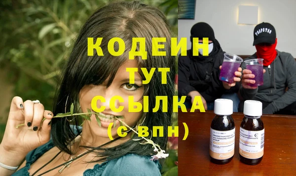 молекула духа Богородск