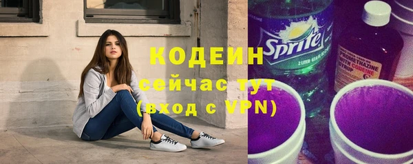мет Бородино