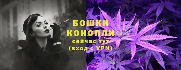 мет Бородино