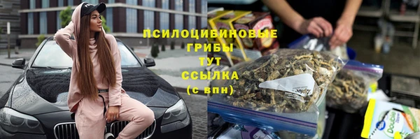 молекула духа Богородск