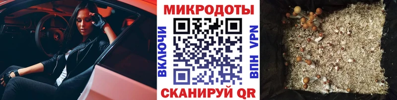 Галлюциногенные грибы Cubensis Красноармейск
