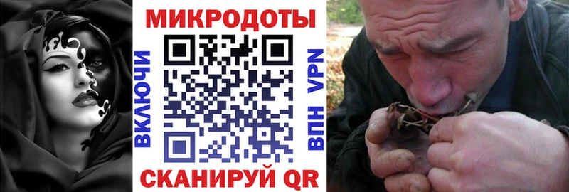 Псилоцибиновые грибы Psilocybine cubensis Красноармейск